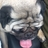 mrjawsh's profile image