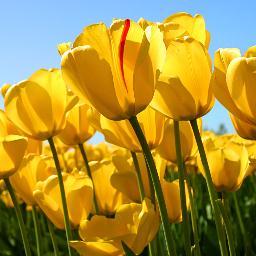 AngelaGianesin's profile picture.