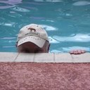 duane shaffer - @DuaneShaffer - Twitter