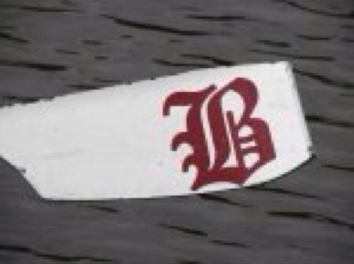 DBPRowing's profile picture. Don Bosco Prep (the Ironmen) Rowing Team