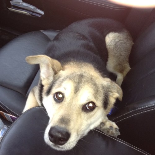 mlokuta6's profile picture. 