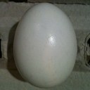 Stephen Brophy - @Stophy25 - Twitter