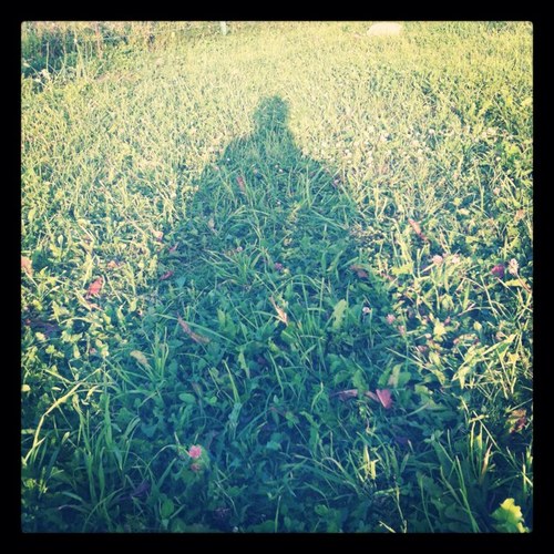 DmitryKurakin's profile picture. 