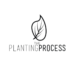 The Planting Process is a resource designed for church planters that are in the process... The Planting Process...