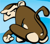 monkeysunclecom's profile picture. Tweets may be from ANY Monkey. Sneaky, eh?