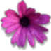 Andrea Zuccolillo (@azuccolillo) Twitter profile photo Andrea Zuccolillo (@azuccolillo) Twitter profile photo