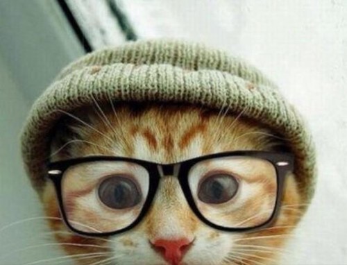 Kimmyrosempls's profile picture. Get over your hill and see what you find there, With grace in your heart and flowers in your hair.