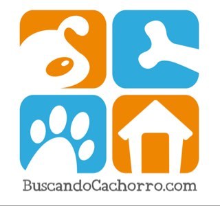 Pagina web creado para facilitar la busqueda de Criadores de Perros y Cachorros Disponibles para la venta a nivel Regional. Tips de perros.