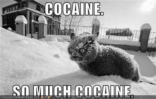 Creatures_bc's profile picture. 