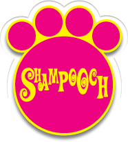 shampoochuae's profile picture. Everyone needs a little pampering, and your pet is no exception. Whether you have a pampered pooch or ruff mutt, Shampooch is at your bark and call!