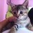 rena_reyna's profile image