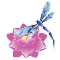 We test and treat people’s allergies and food intolerance using NAET. We also offer a range of Holistic Therapies