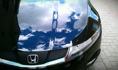 savange1's profile picture. 