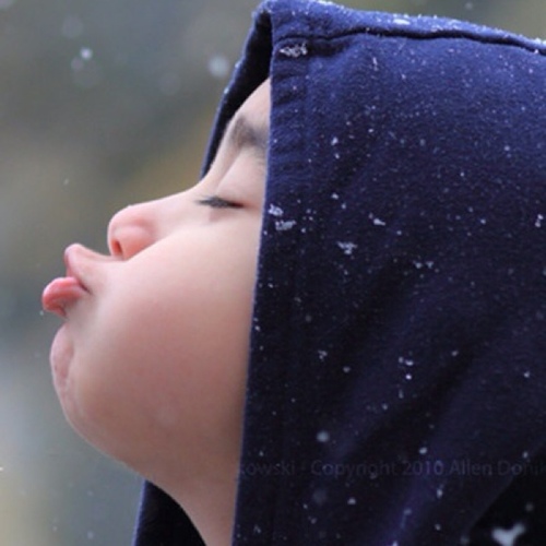 lee3111's profile picture. 