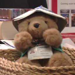 Library Bear in Barnet