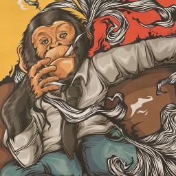 druida00's profile picture. 