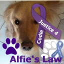 This is a dogblog for you to share anything dog!Got questions,e-mail us at thegoldenretrieverdogblog@hotmail.ca:)