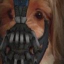 Chris sica - @Cjsica31 - Twitter