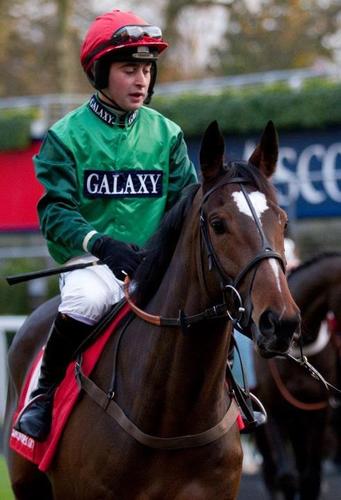 Professional Jockey. Fergentri Jumps Champion 2019. Bloodstock. Director at https://t.co/tJ4oyCuqB6