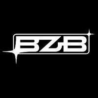 BZB.NL (@bzb_nl) Twitter profile photo