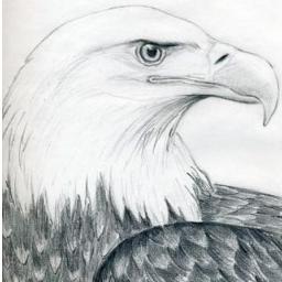 swhittier64's profile picture. Technology Manager, Management and Monitoring Solutions