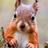 WilWiwer's profile image