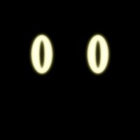y0m (@y0m_b) 's Twitter Profile