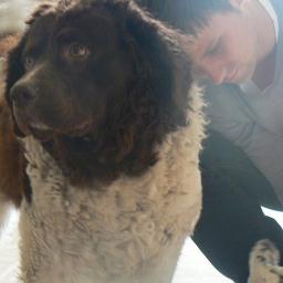 maxschrage's profile picture. 