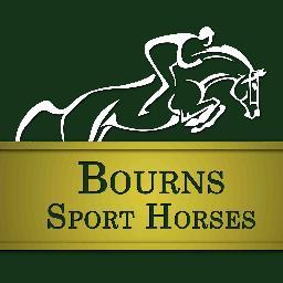 BournsSportHors's profile picture. We sell Irish Sport Horses, Show-jumping horses of all caliber from amateur to Grand Prix and Olympics level.
http://t.co/alXltUgKQu