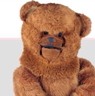 alan8581's profile picture. 