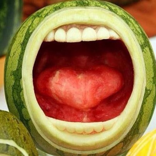 toothgal408's profile picture. 