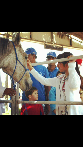 HissaHamdan's profile picture. Please follow me on my new twitter account @Onceuponasaddle