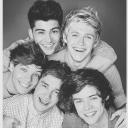 I'm just a Directioner. I may not be with One Direction from the start but I will always be with One Direction till the end. I Promise.