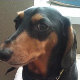 Titus701's profile picture. 