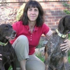 Online dog classes for professionals, dog breeders, enthusiasts or lovers! We are the pioneer in webinars and have the largest selection of courses available.