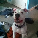 Greg Gilbert - @chaun52000 - Twitter