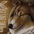 KeetCollie's profile image