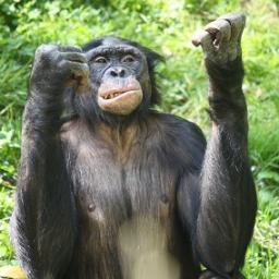 WigboltR's profile picture. 