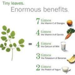 #GOD #MORINGA #Capsules #Oil #Tea #Trees #Seeds #Soap #Miami
Call Raul today 305-797-5959