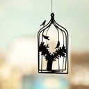 Tammy Rafferty - @tdrafferty - Twitter