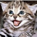 Rory Morgan - @kingamongnerds - Twitter