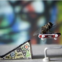 Acredite, corra atrás, a única coisa que existe entre você e o seu sonho é o seu medo. Contato:Skater.Life@hotmail.com