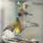 rosamariaportil's profile image