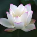 nubia ines muñoz - @nuanyra - Twitter