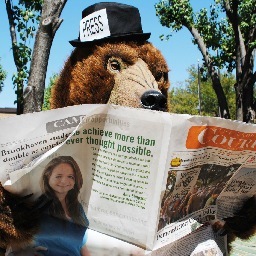bhccourier Profile Picture