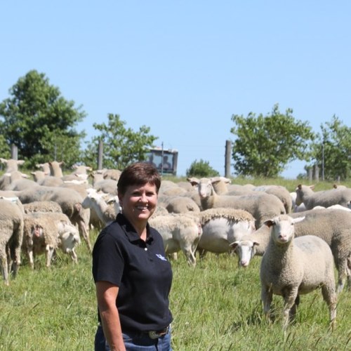 AnSci_Prof's profile picture. 