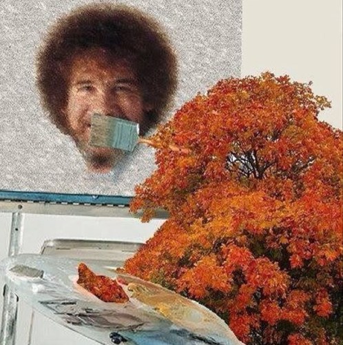 smokeybear82's profile picture. 