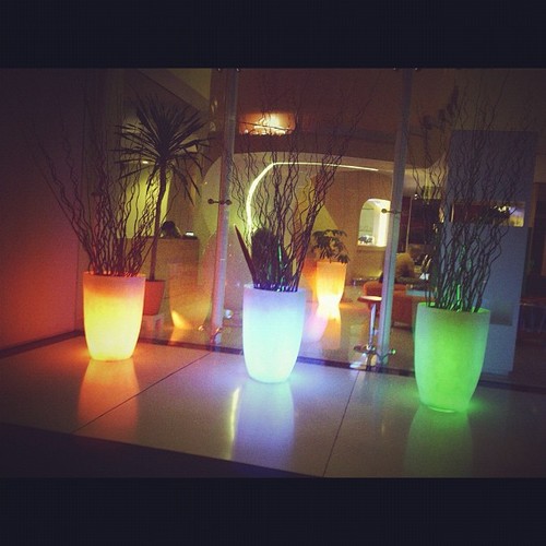 dtaadhwzhouyln1's profile picture. Непреодолимое желание скрыться от несовершенств этого мира под одеялом