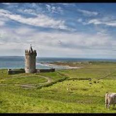 marygiasb's profile picture. 