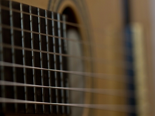 BryanTerrio's profile picture. Ninja